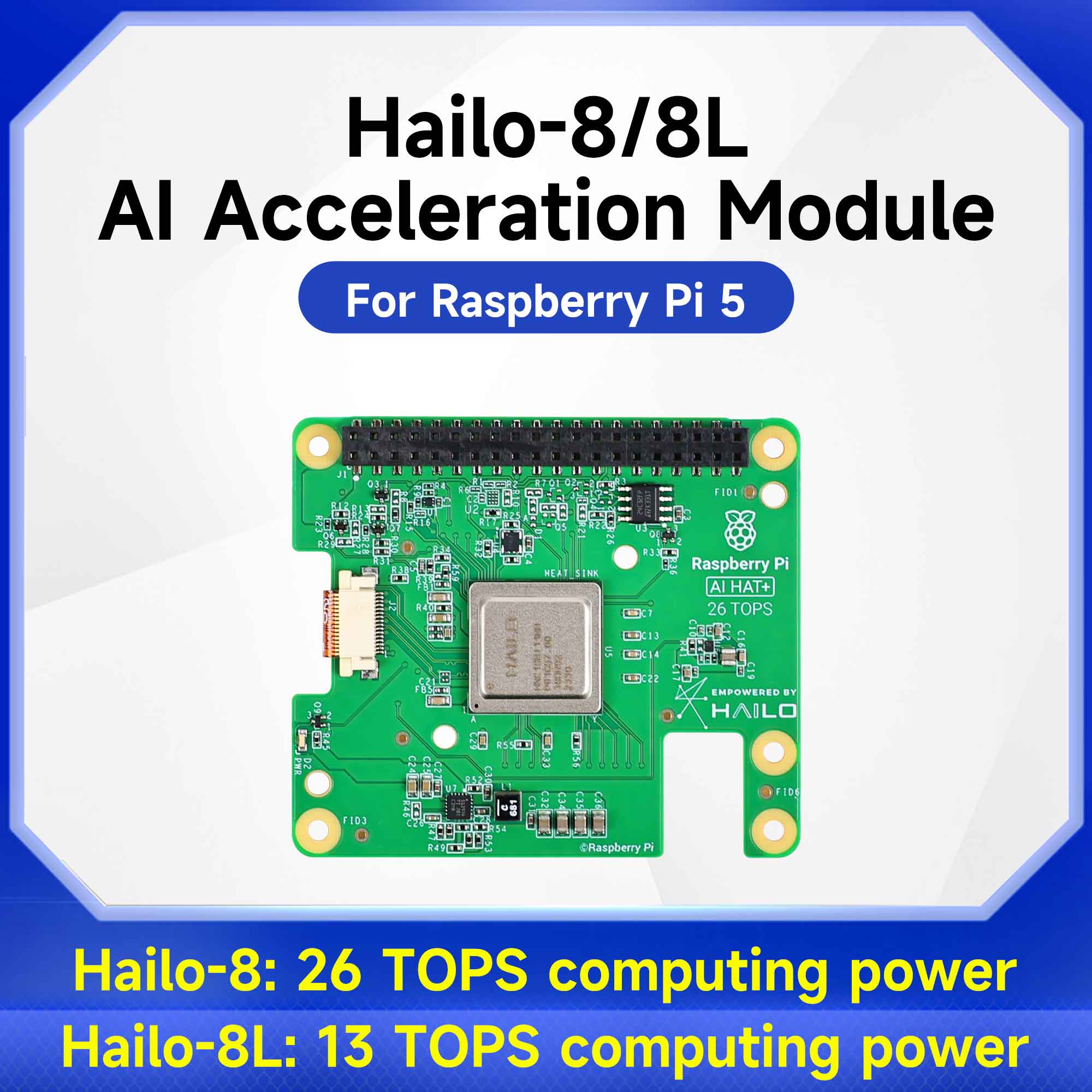 Hailo 8/8l Modulo di Acceleraz - Raspberry Pi Ai Kit Hailo-8L recensione e prezzo