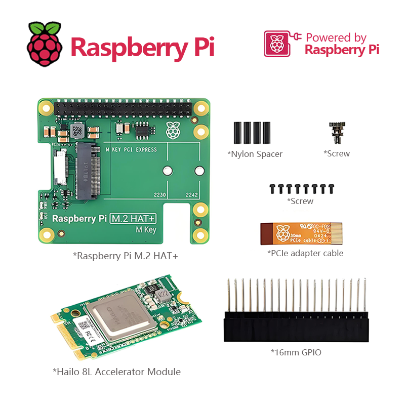 Kit AI ufficiale Raspberry Pi  - Raspberry Pi Ai Kit Hailo-8L recensione e prezzo